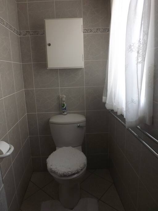 Lower Level bathroom