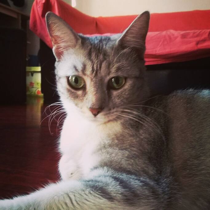 She's Luna the "building guardian" :-)