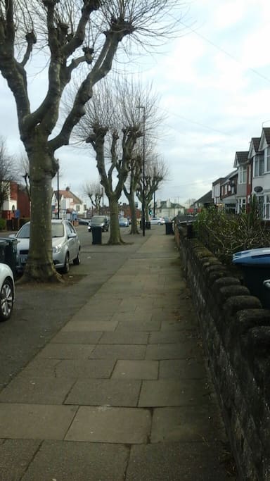 view of my road