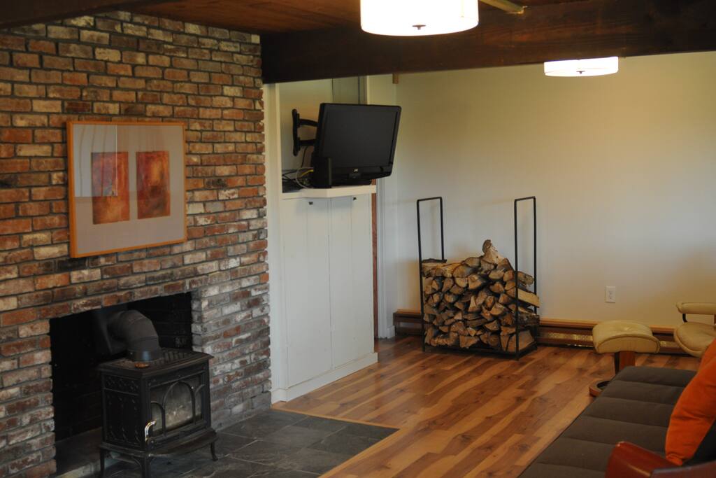 Living Room with Television and Wood Stove
