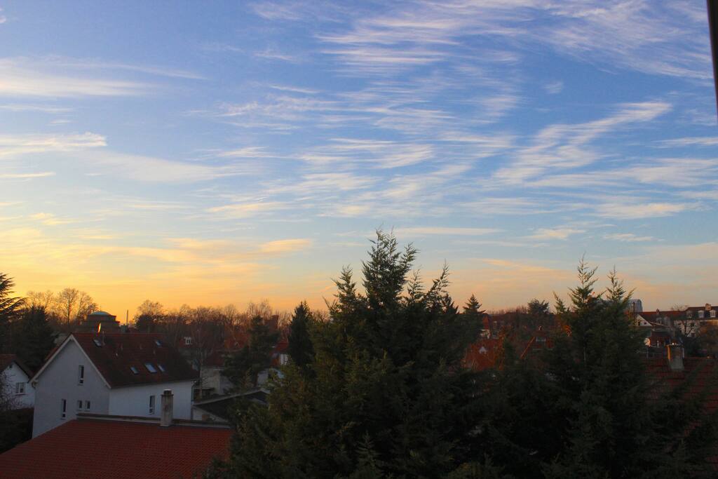 View from the apartment!