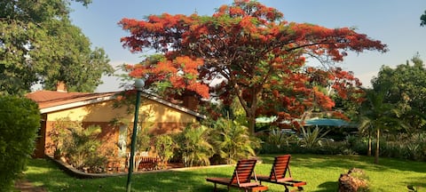 Kino's Garden