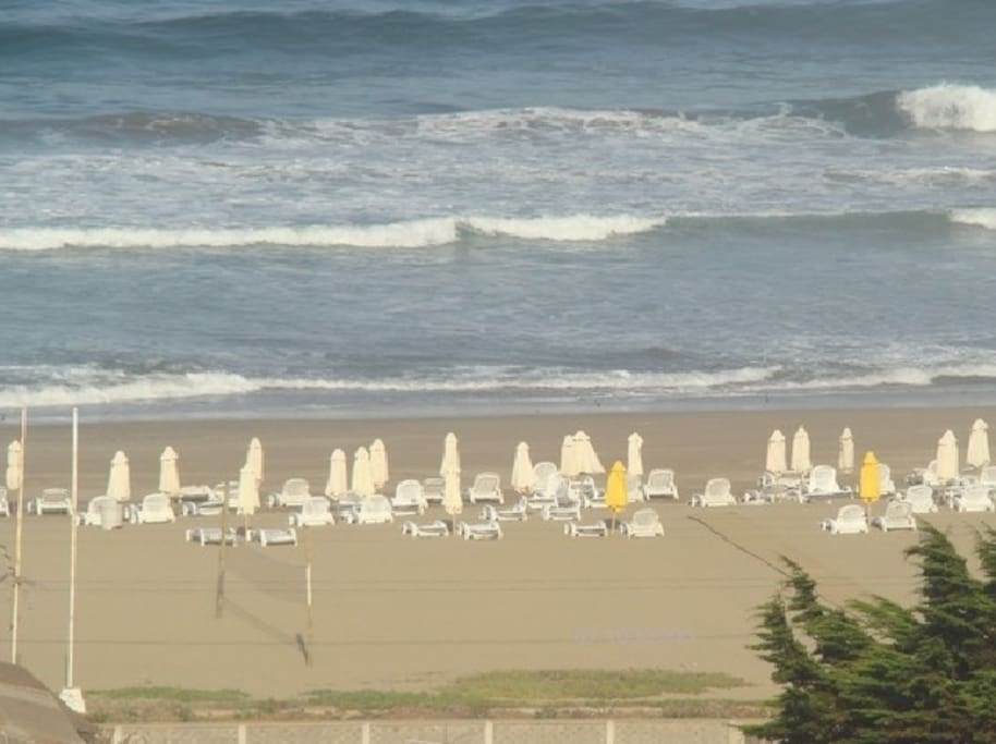 servicio de playa, quitasoles y reposeras