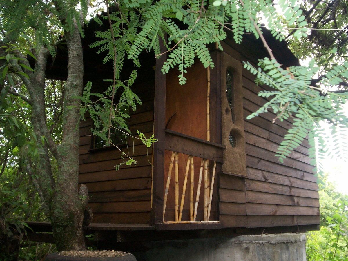 A handcrafted wooden cabin is nestled among lush greenery, with a distinct entrance featuring wooden beams and a natural texture. The cabin's earthy design blends harmoniously with the surrounding forest, creating a serene retreat in nature.