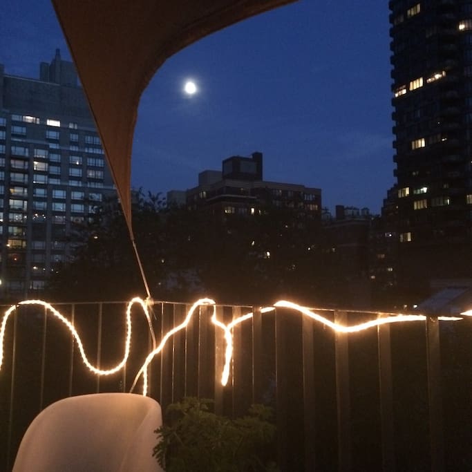Moonlight scenes