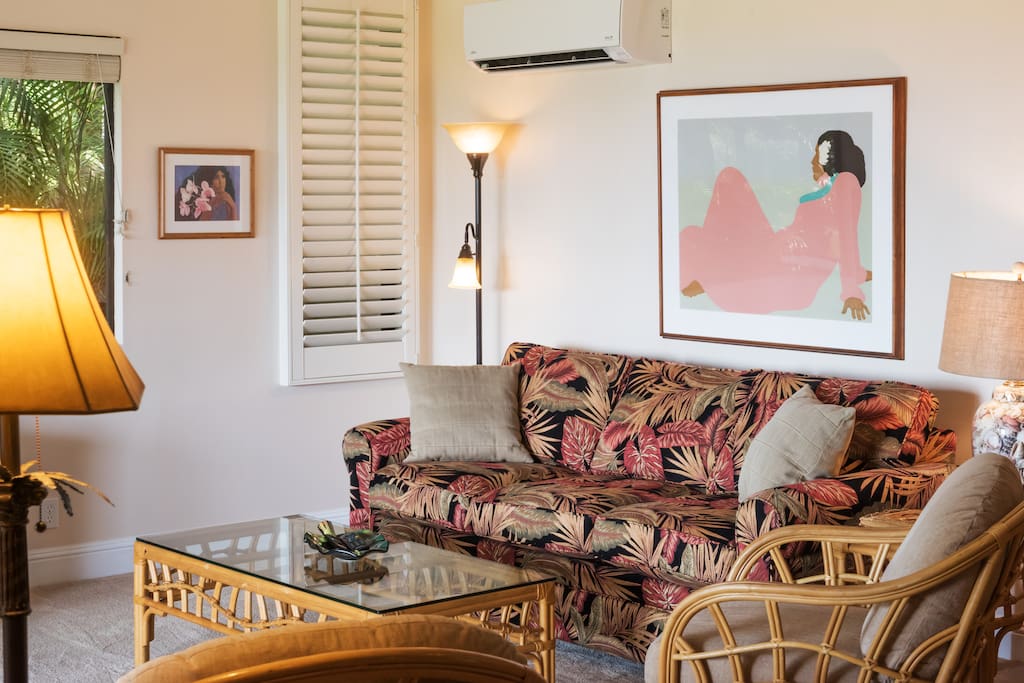 Living Room with Pull Out Couch