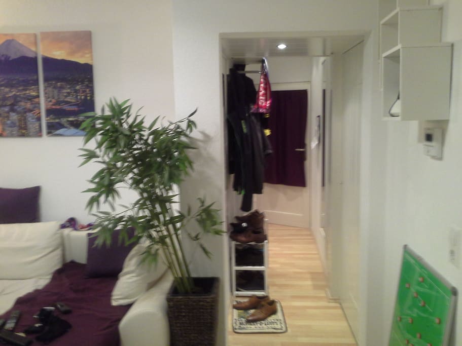 way to the kitchen / out of the appartment