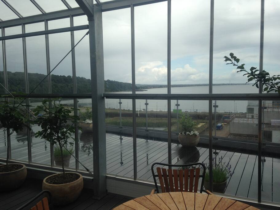 Udsigt over Riis Skoven og bugt, view over ocean and forest