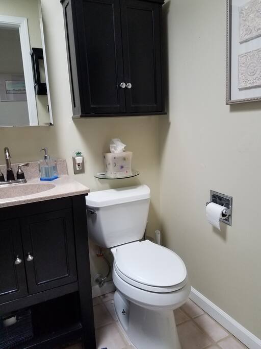 Guest bathroom with tub and shower