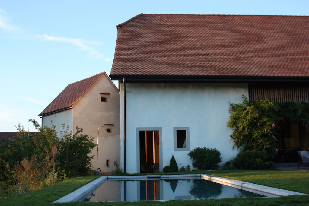 jardin avec piscine