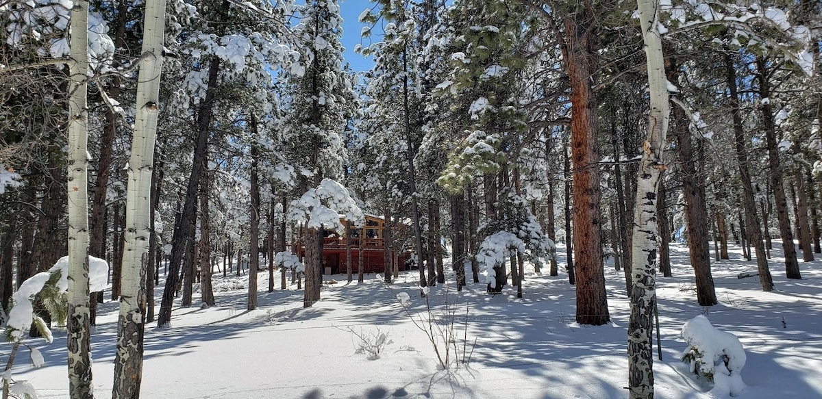 A winter scene displays a cabin nestled among tall pine trees, blanketed in fresh snow. The surrounding landscape features a pristine white layer, with sunlight filtering through the branches, creating a serene atmosphere in the snowy forest.