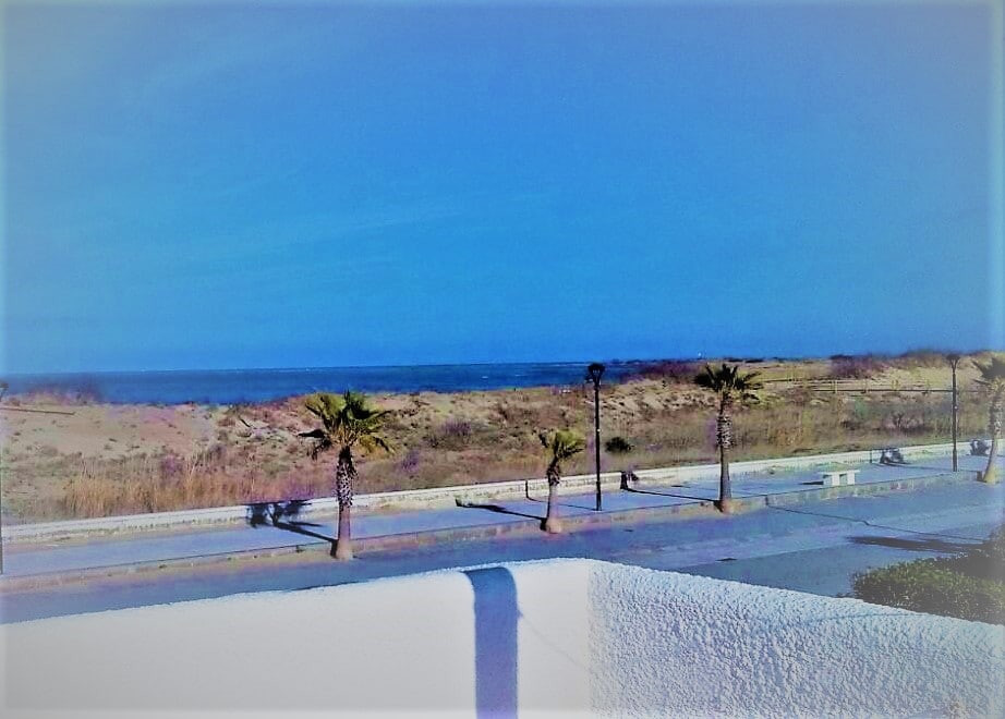 A view features a sandy beach lined with palm trees, leading to a clear blue ocean. A pathway runs alongside the beach, providing a sense of openness. The sky is bright, contributing to a sunny seaside ambiance.