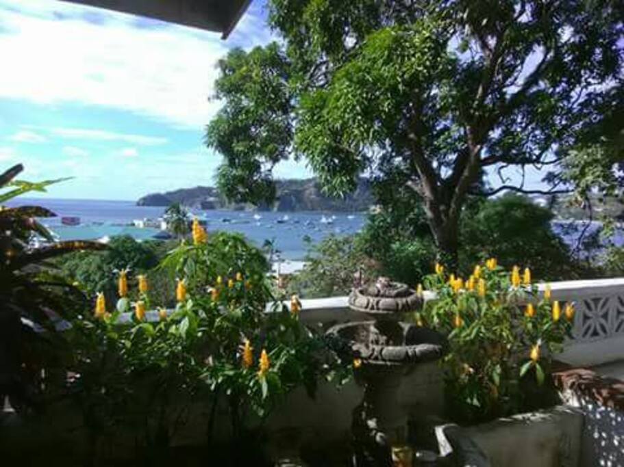 House's View