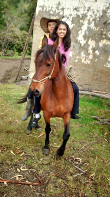 Astillal, Carcasi