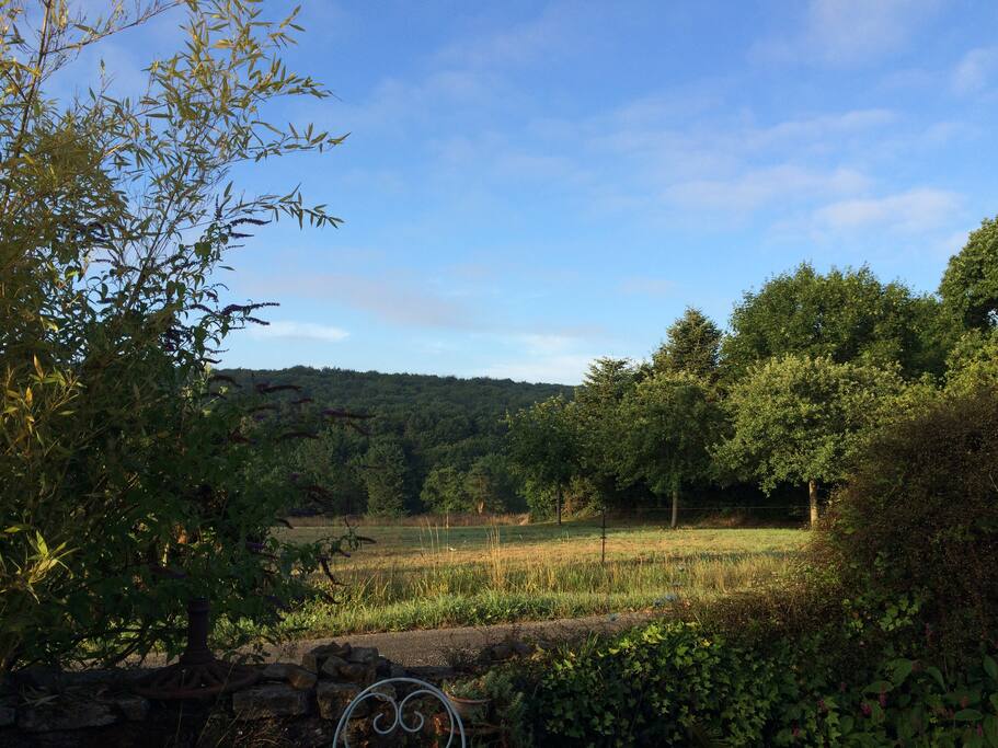 Vue de la terrace, la forêt de Fréau.