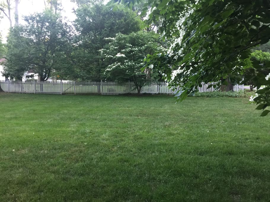 Back yard