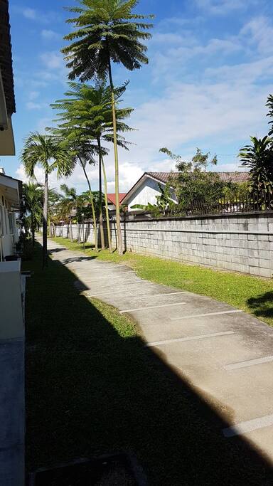 Jogging track
