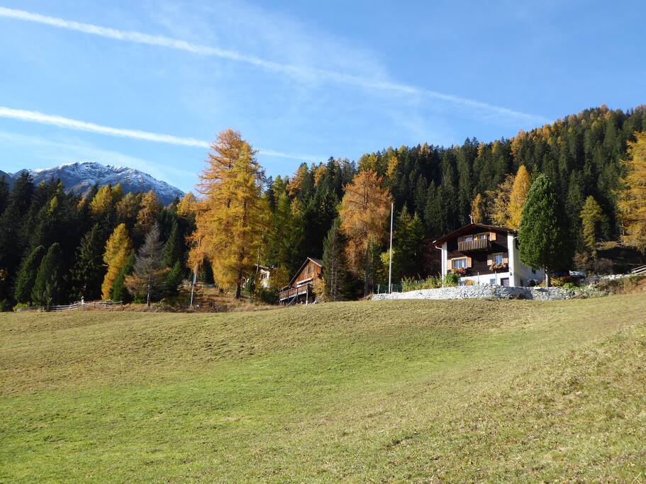 Fall view