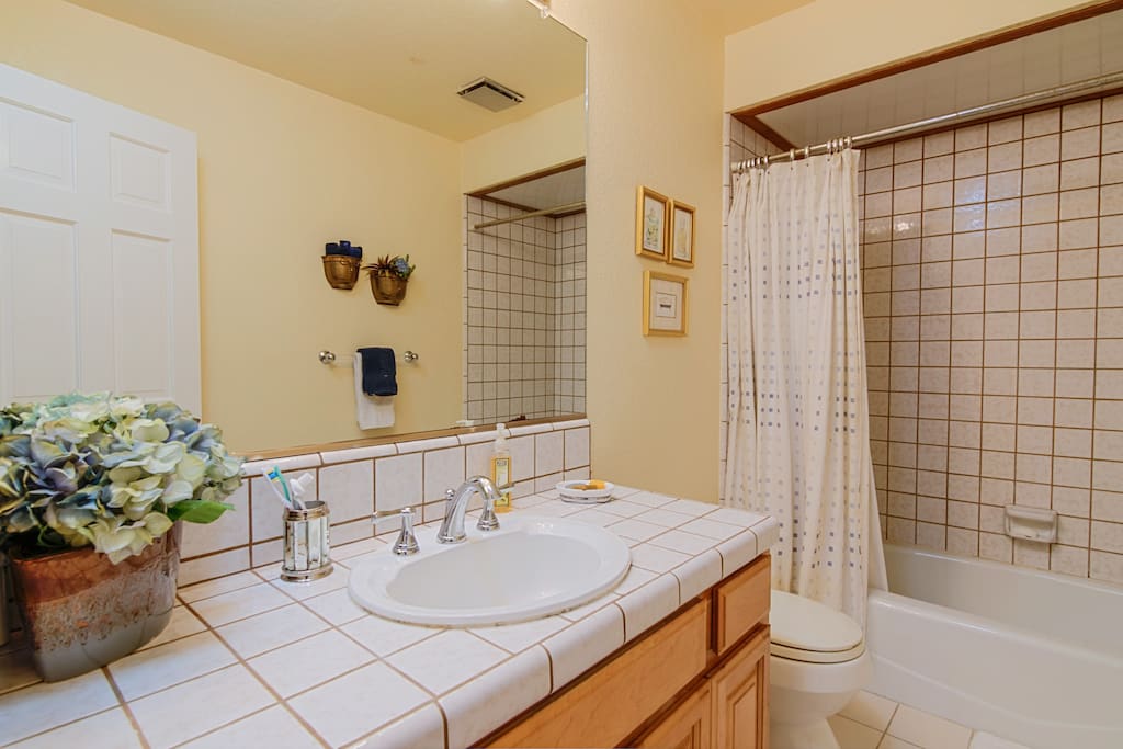 AirBnB Guest Bathroom
