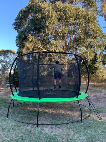 Willunga Cottage — Sweet Country Retreat gallery image 5