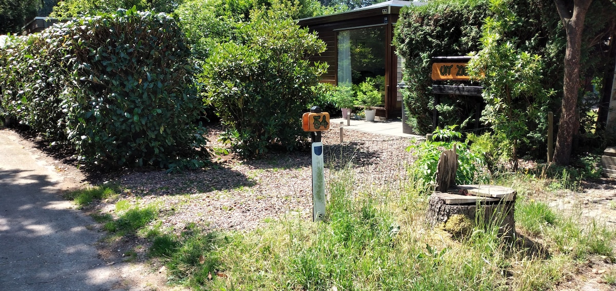 The image depicts the exterior of a secluded chalet set within a lush, green landscape. Surrounding shrubbery provides privacy, while a clearly marked mailbox stands at the end of a gravel path. Sunlight filters through the trees, casting gentle shadows on the ground.