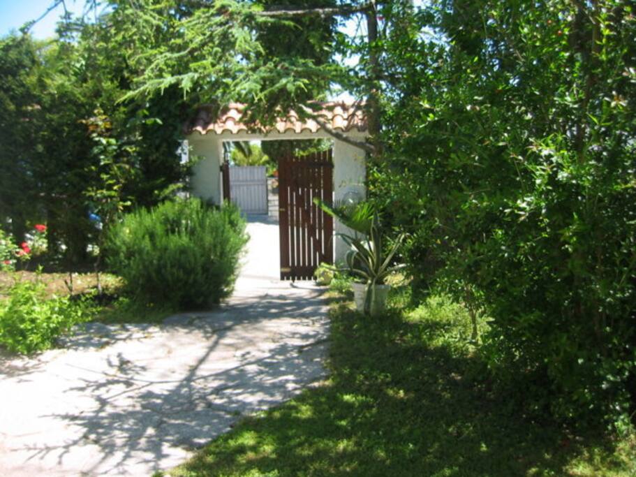 ingresso