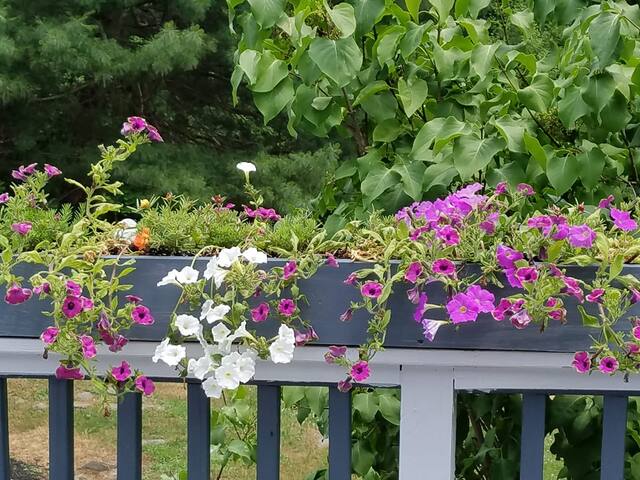 Airbnb Rhinebeck Locations De Vacances Et Logements New