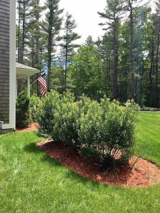 Side Yard
