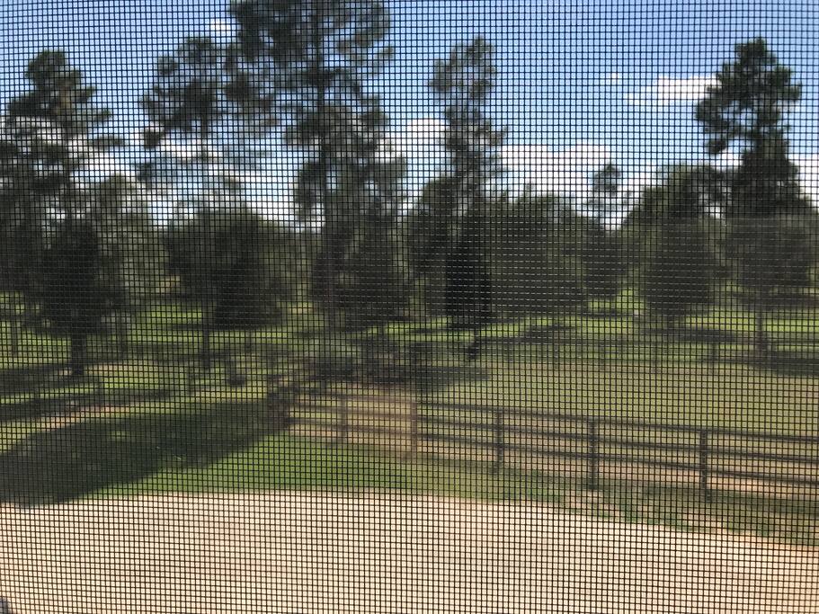 View from west windows