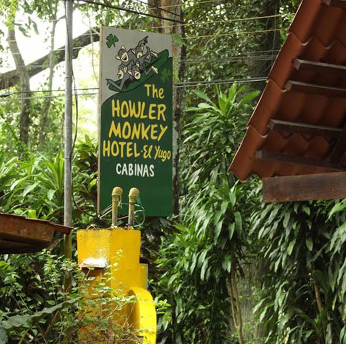 Welcome to the Howler Monkey Hotel