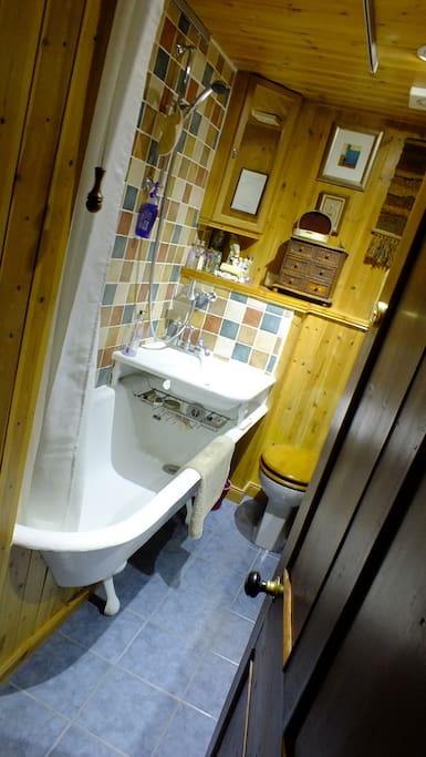 The Victorian shower/bath 1901