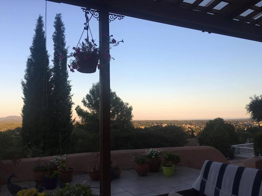 Terrace One
