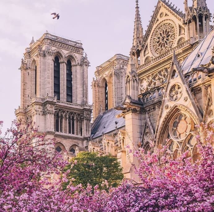 Appartement is 50 meters from Notre Dame