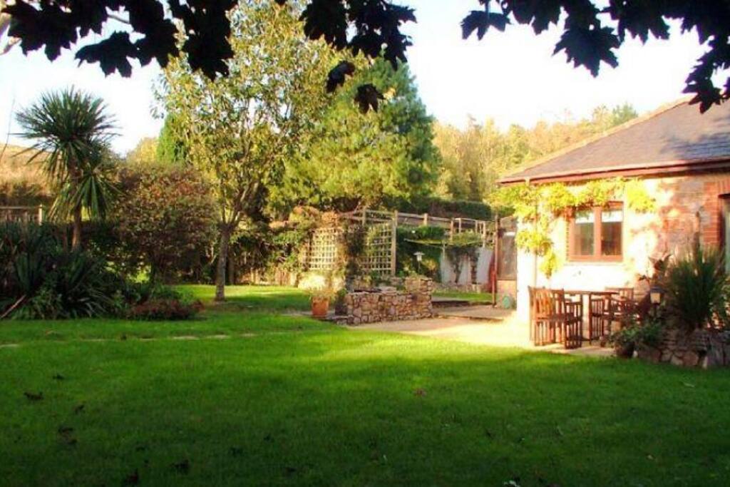 The garden