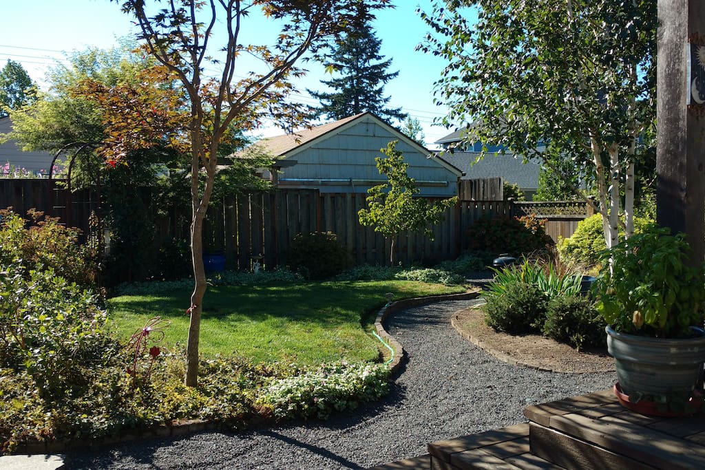 Back yard garden