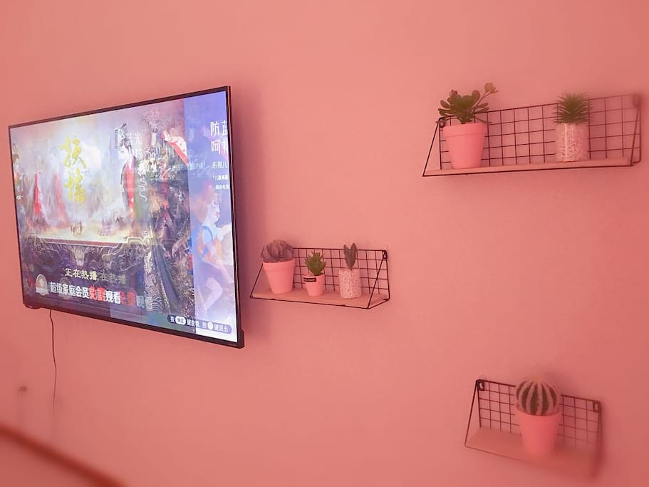 65寸超大乐视TV
