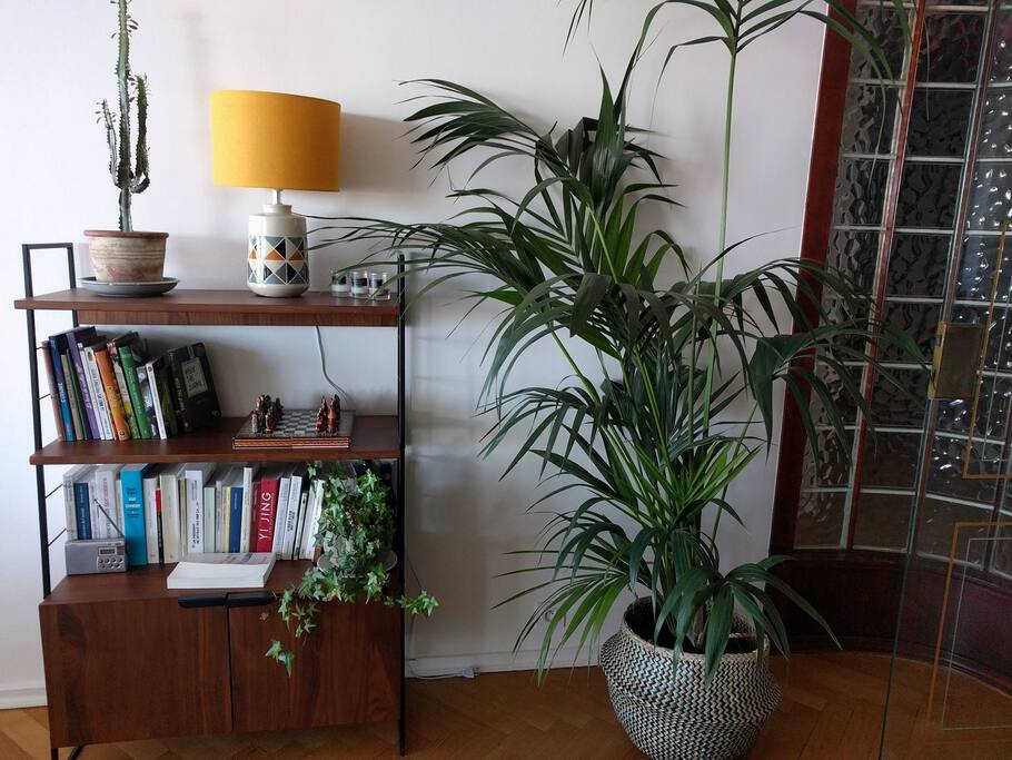 Notre belle plante :)