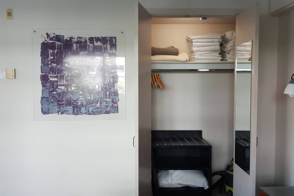 Closet with mirror, iron, iron board and hangers