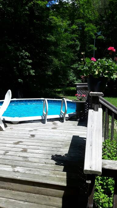 View from your room. Couldn't help but take a plunge! (Pool and deck area are shared.)