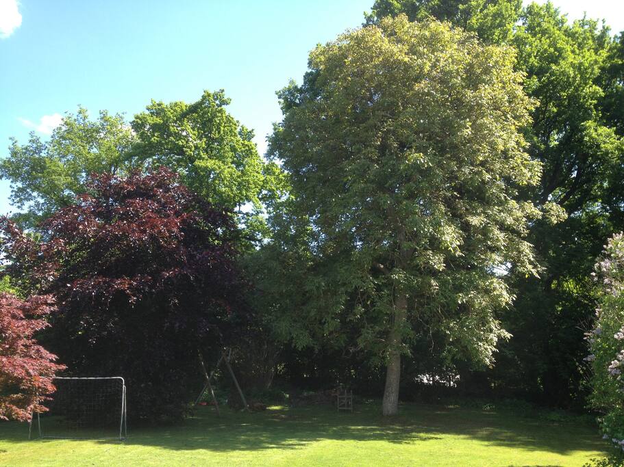 The back part of our big garden, with an entrance to the forest.