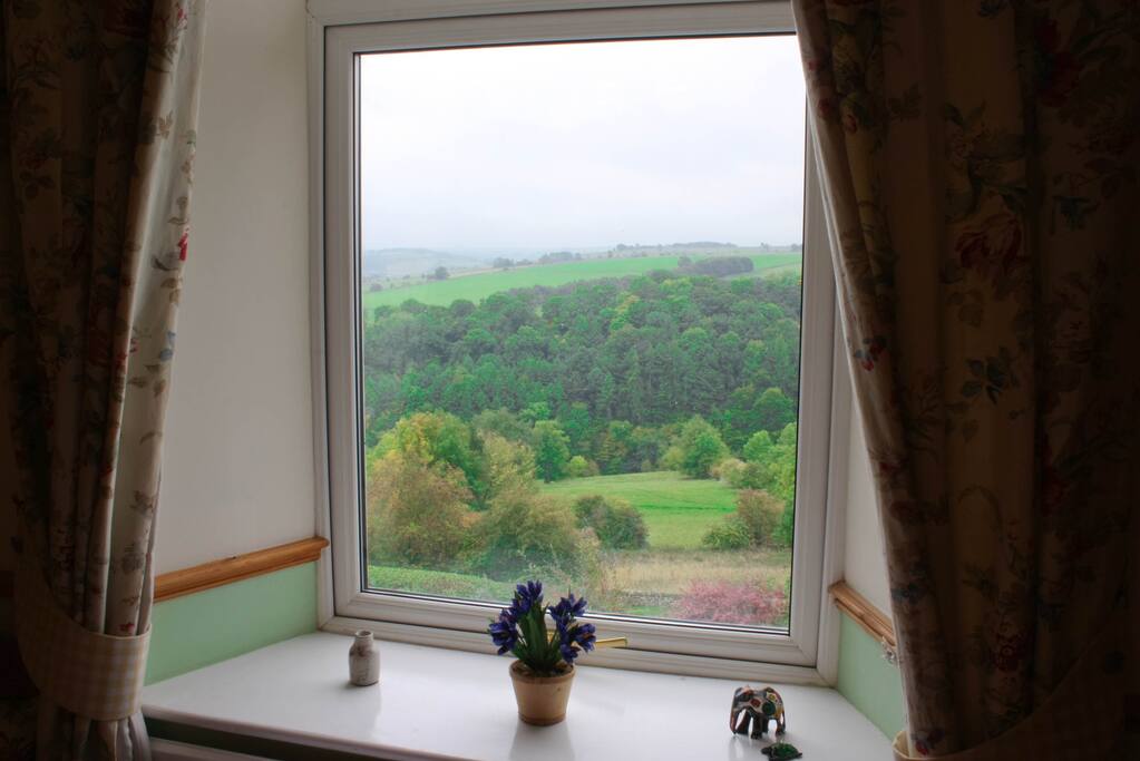 Bedroom view
