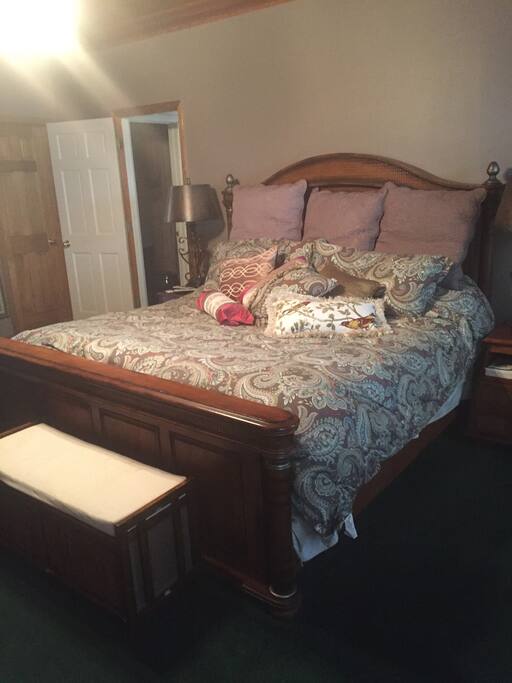 Master Bedroom with King size bed
