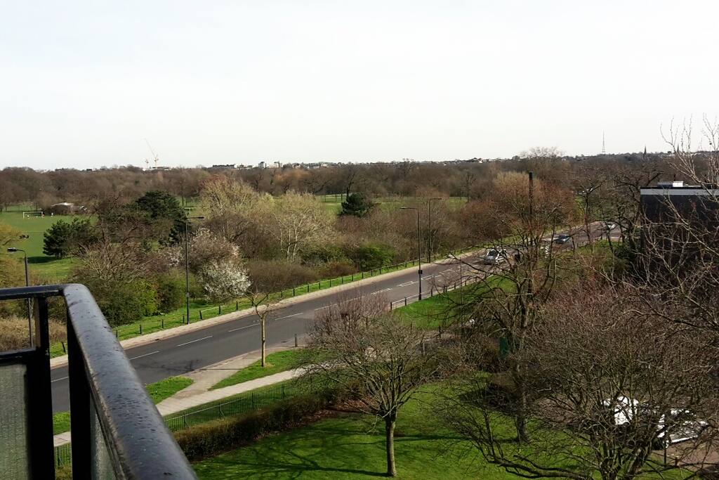 Southern view from the room's balcony