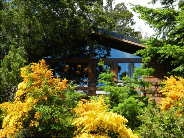 CABAÑA CON COSTA DE LAGO