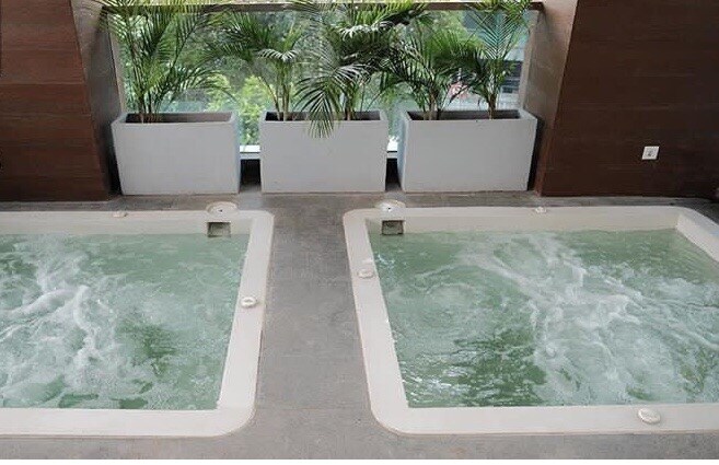 Two hot tubs are positioned side by side, featuring bubbling water. Each tub is surrounded by modern potted plants positioned on a sleek floor, enhancing the tranquil environment. Natural light filters through the large window behind the tubs, offering views of greenery outside.