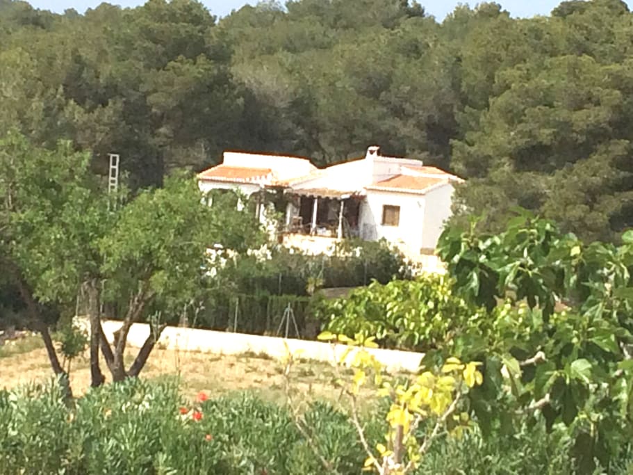 Long-distance view of the villa.