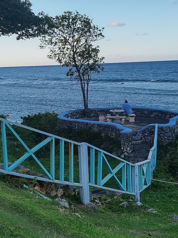 Carib Tropical Getaway Beachside Apartment Apartments for Rent in