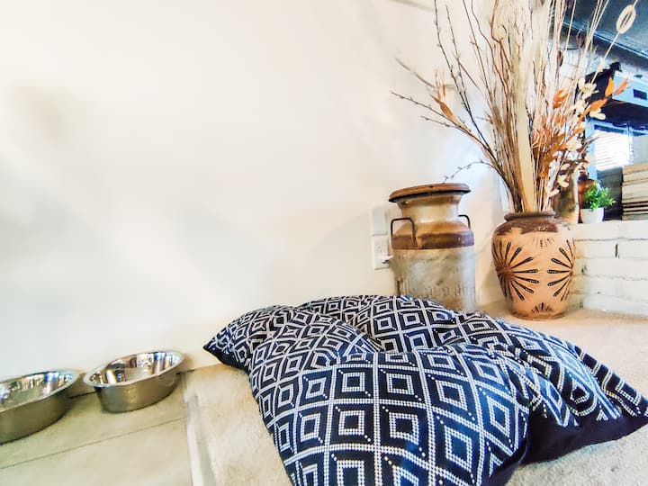 ¡Tus amigos peludos también son de nada!