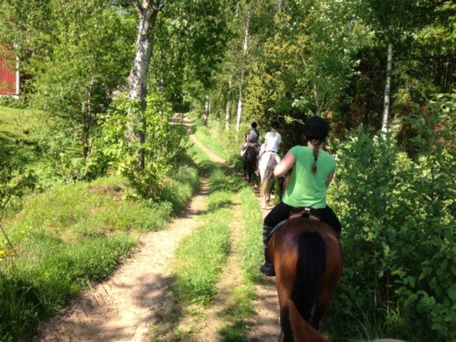Underbar natur i omgivningarna