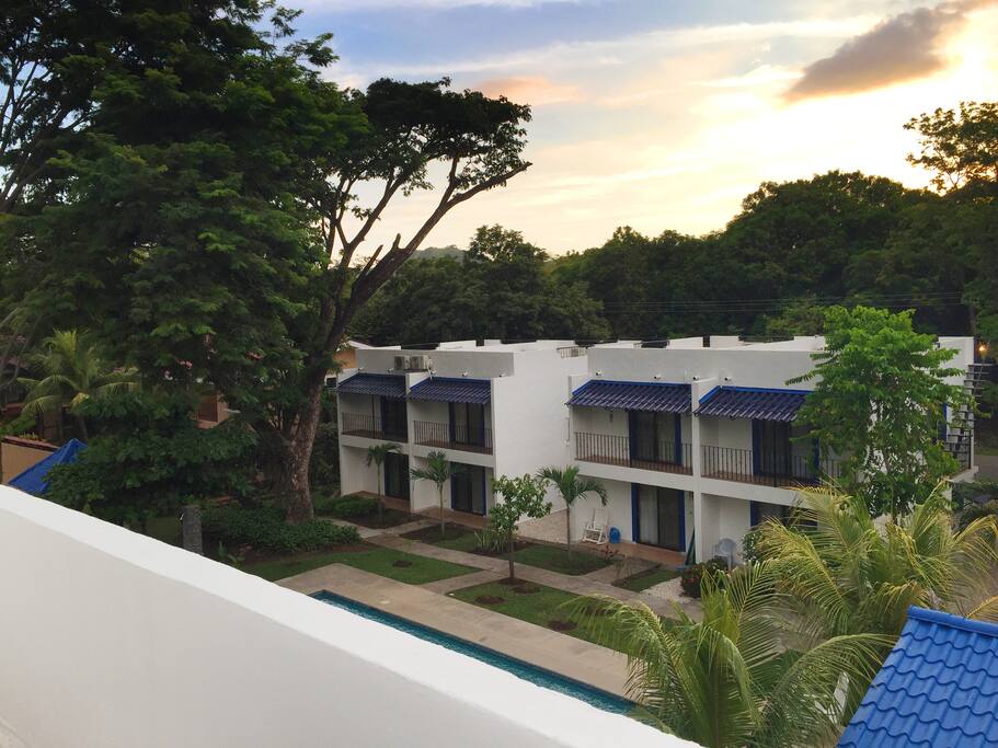 The beach is right past the line of trees across the street!